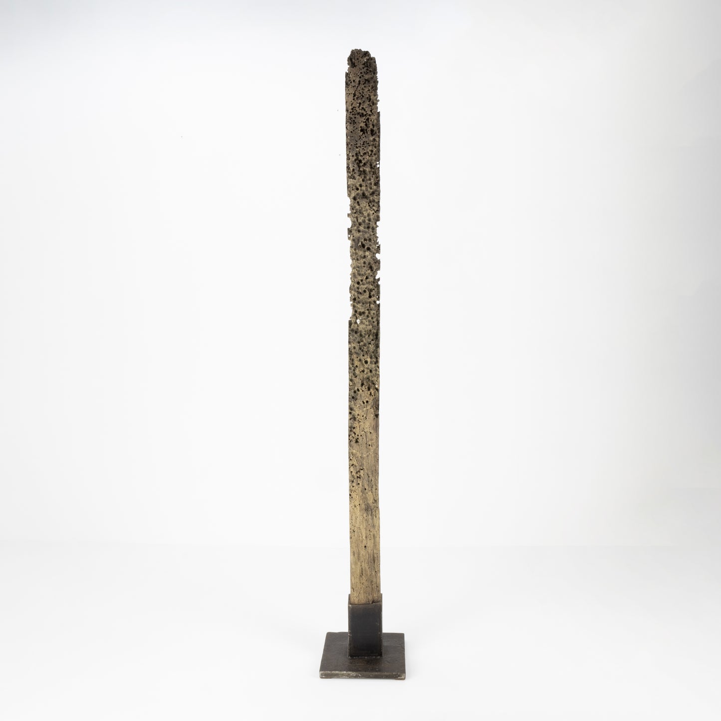 Barnacle-Eaten Iron-Wood Jetty-Beam