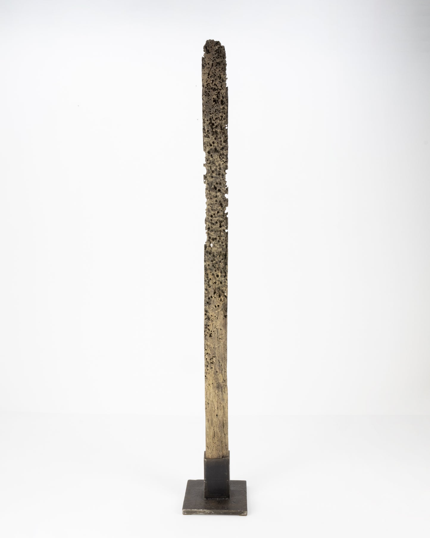 Barnacle-Eaten Iron-Wood Jetty-Beam