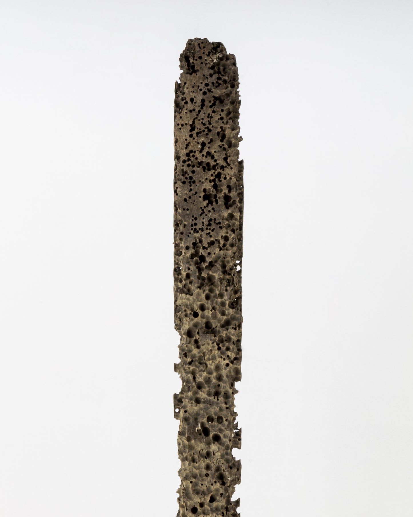 Barnacle-Eaten Iron-Wood Jetty-Beam